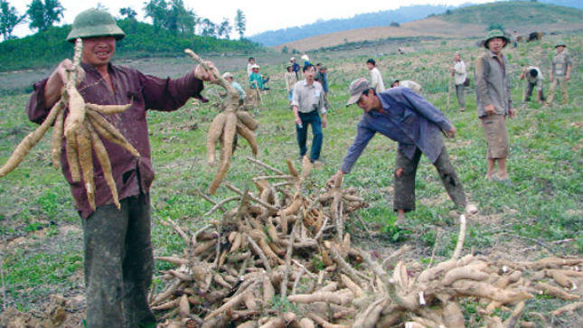 Ngân hàng Phát triển Châu Á “ngâm” dấu hiệu sai phạm của PMU1?